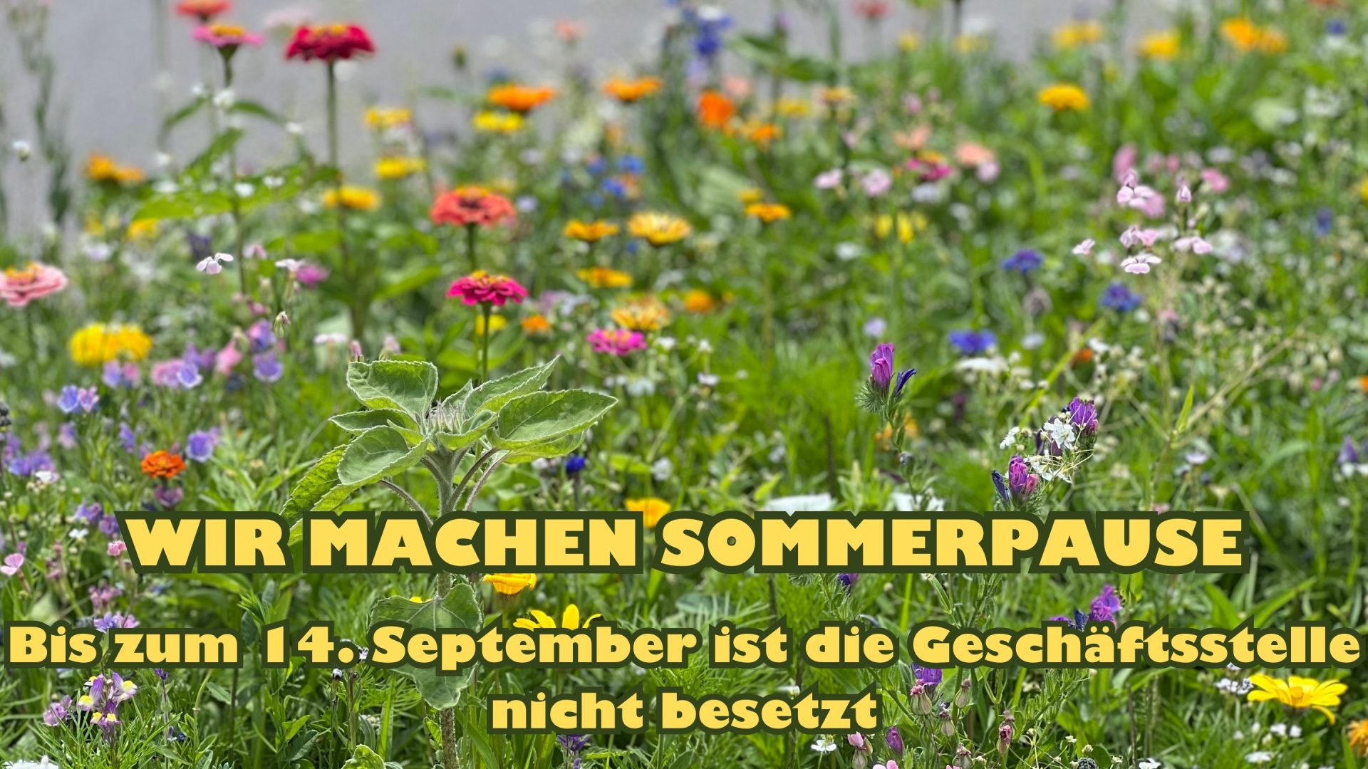 Das Künstlersozialwerk macht Sommerpause